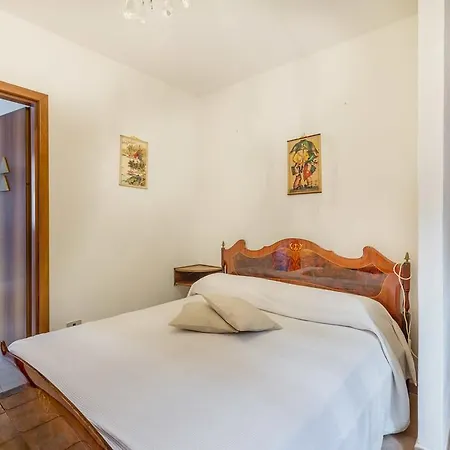 Agave Costa Paradiso