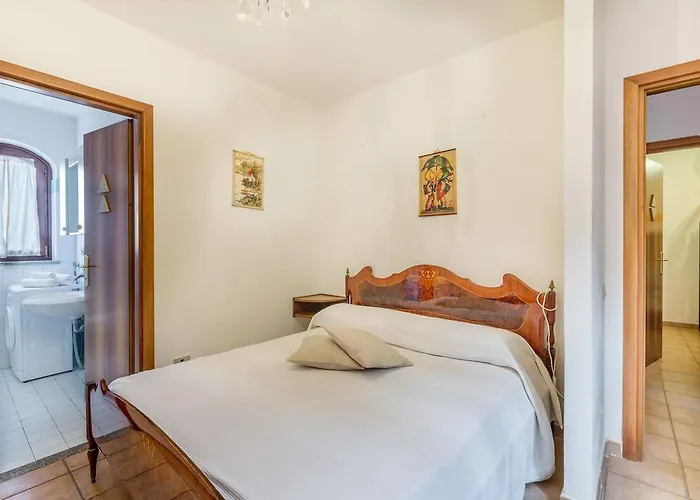 Agave Costa Paradiso